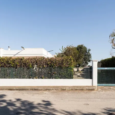 Appartement Nettuno *