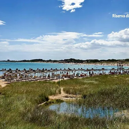 Apartment Nettuno