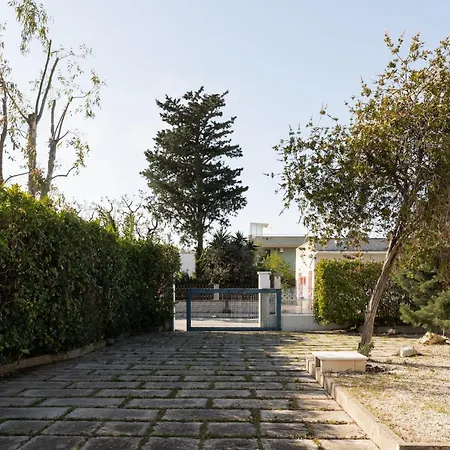 Apartmán Nettuno